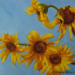Still Life Sunfowers in Daylight