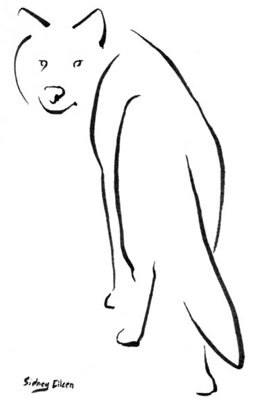 Minimalist Wolf Looking Back 1 Minimalist Wolf Looking Back 1