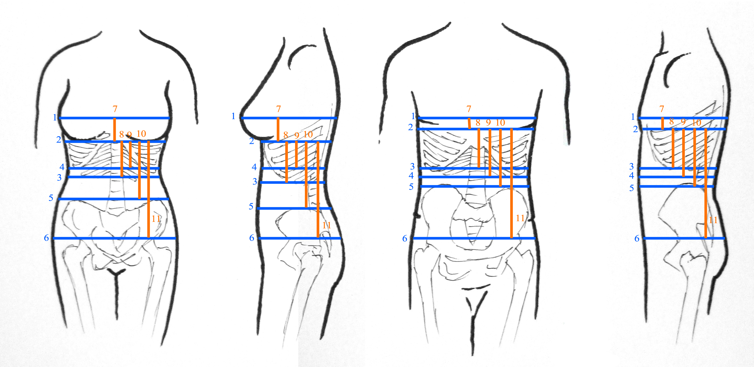 diagram of measure how to measure for a corset by sidney eileen diagram of measure how to measure for a corset by sidney eileen